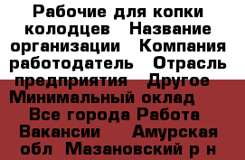 Рабочие для копки колодцев › Название организации ­ Компания-работодатель › Отрасль предприятия ­ Другое › Минимальный оклад ­ 1 - Все города Работа » Вакансии   . Амурская обл.,Мазановский р-н